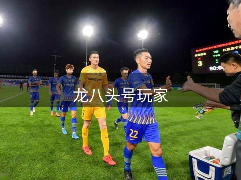 了解龙八头号玩家